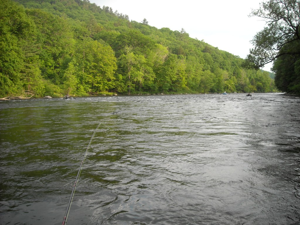 Early Evening on the Housy