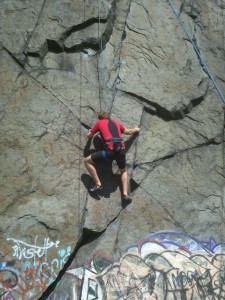 Dwight gets on the wall.