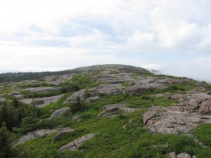 Approach of Sargent, which was much greener. Approach of Sargent, which was much greener.