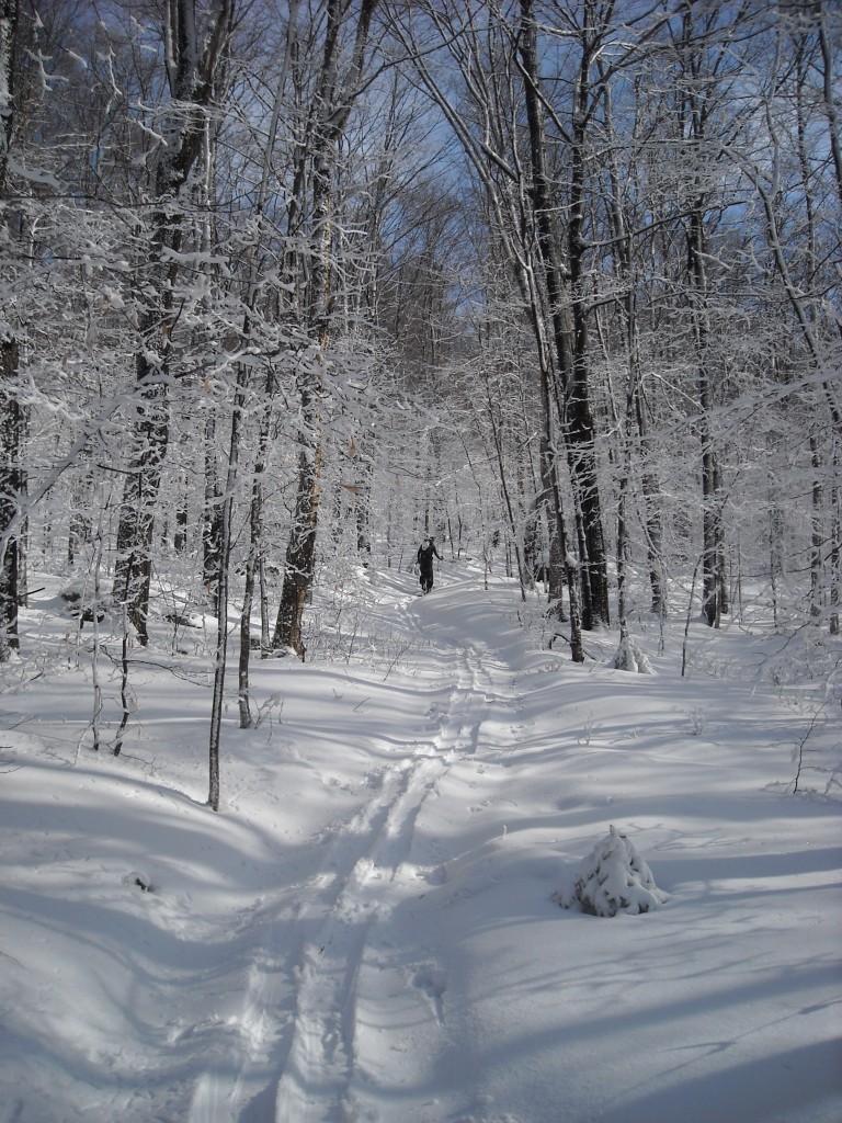 DSCN0527