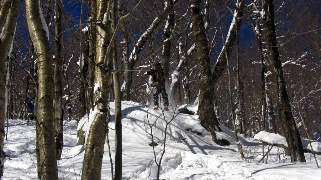 Denaro aims to punch some branches Denaro aims to punch some branches