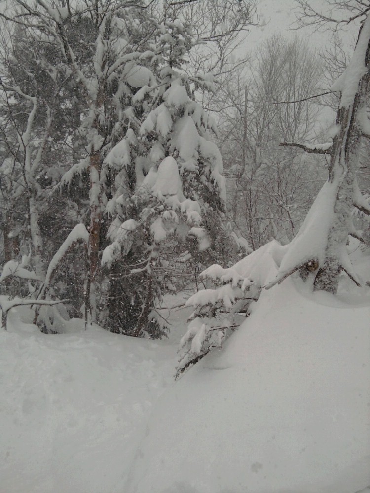 The Orchard The Orchard, getting buried on Saturday.