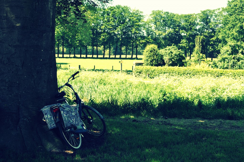 A very Dutch photo, with a standard Dutch bike.