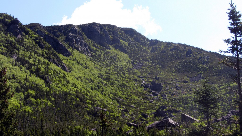 Carter Dome An awesome look at the daunting Carter Dome from the Carter Notch Hut.