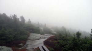 Lots of fog and pelting rain were waiting for us above treeline.