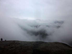 Not much to see here today.