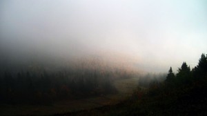 Looking through the fog at Stowe.