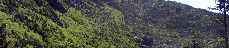 An awesome look at the daunting Carter Dome from the Carter Notch Hut.